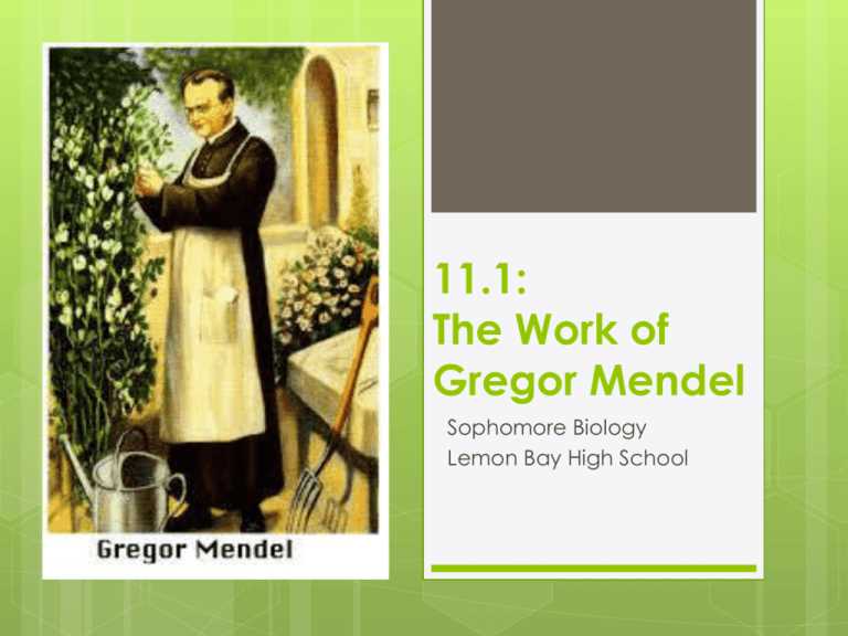 11.1 the work of gregor mendel answer key