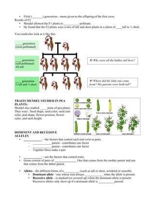 11.1 the work of gregor mendel answer key