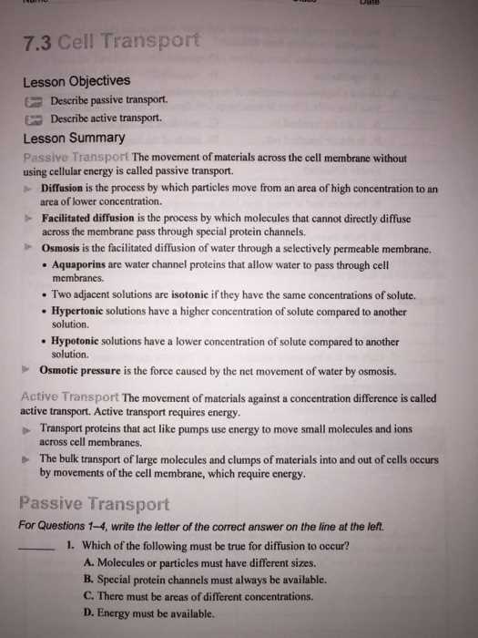 7.3 cell transport answers