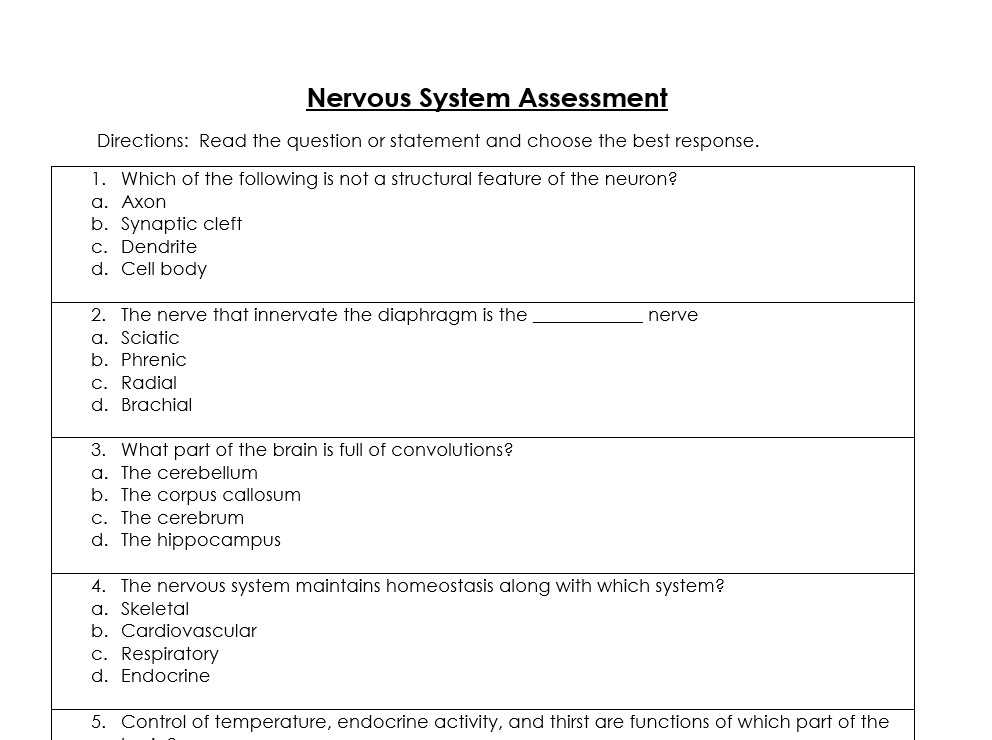 nervous system test questions and answers