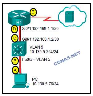 routing and switching essentials (version 6.00)   rse 6.0 chapter 5 exam