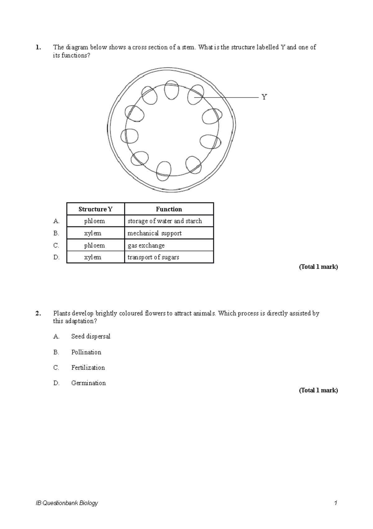 plant biology exam questions and answers