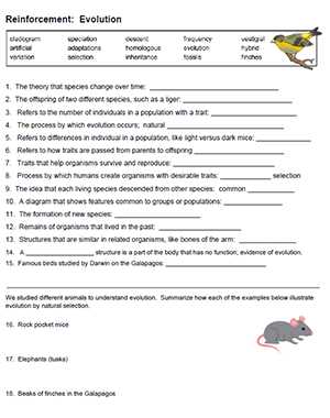 evolution vocabulary worksheet answers