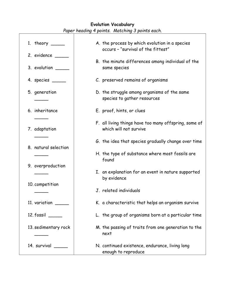 evolution vocabulary worksheet answers