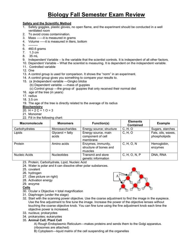 biology fall semester exam review answers