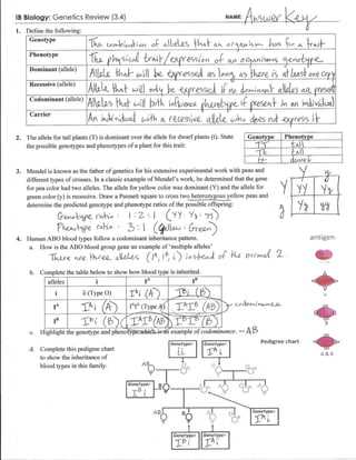 genetics exam review answer key