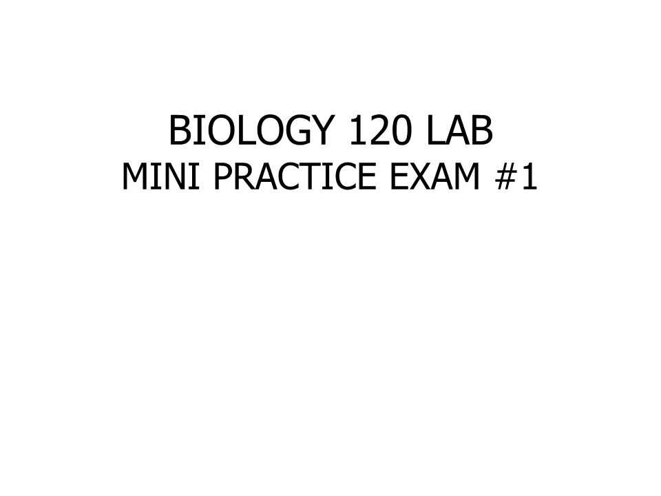 biology lab exam 1