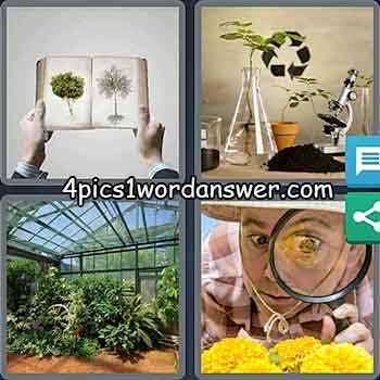 4 pics 1 word 6 answers