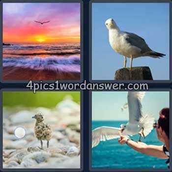 4 pics one word daily puzzle answers