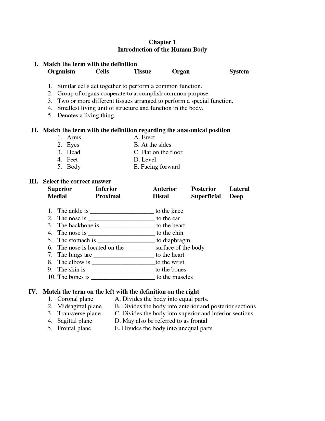 anatomy and physiology 1 final exam answer key