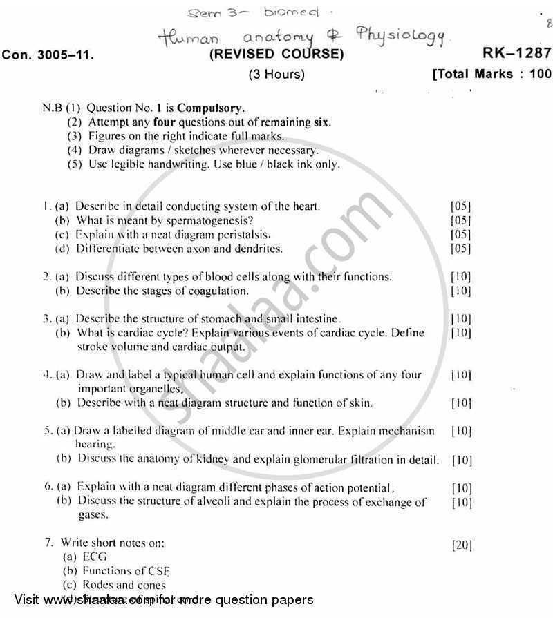 anatomy and physiology 1 final exam questions and answers