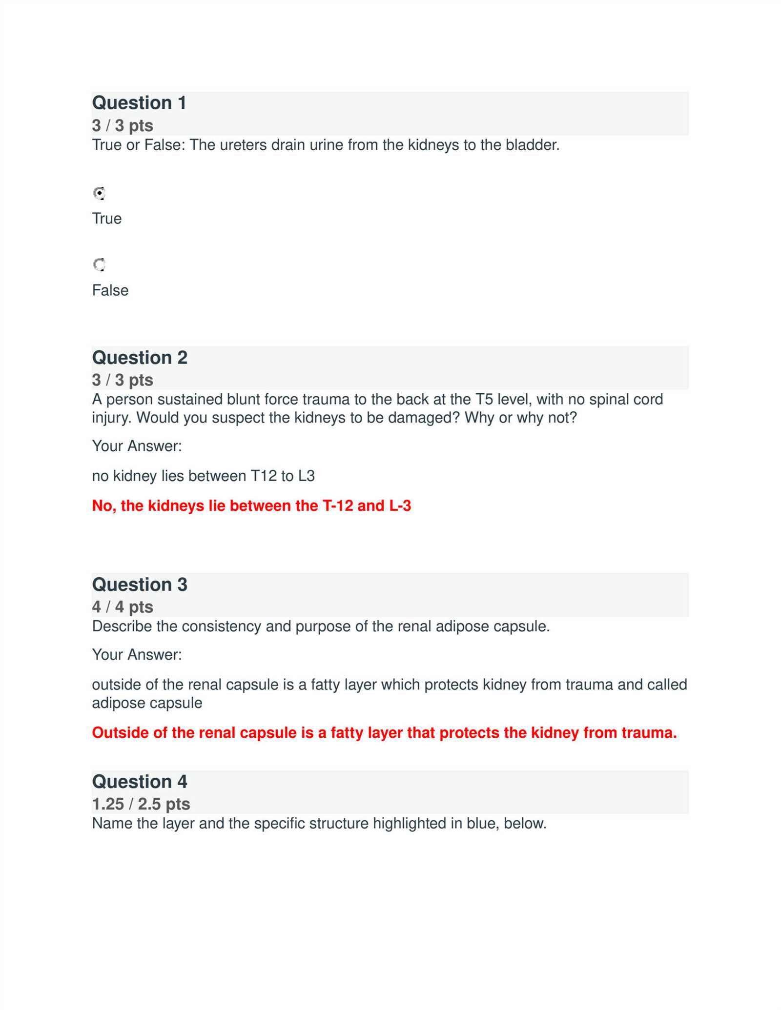 anatomy and physiology 2 final exam