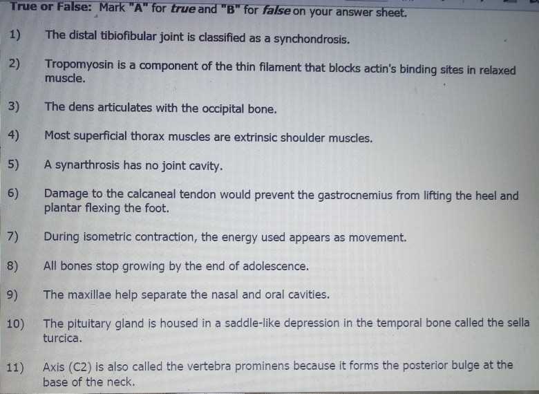 anatomy and physiology exam 1 answer key