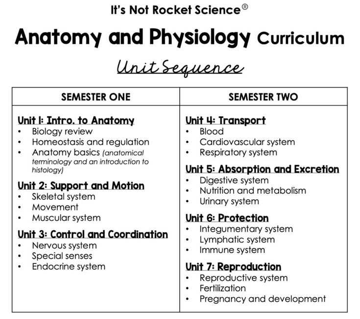 anatomy and physiology semester 1 final exam answers