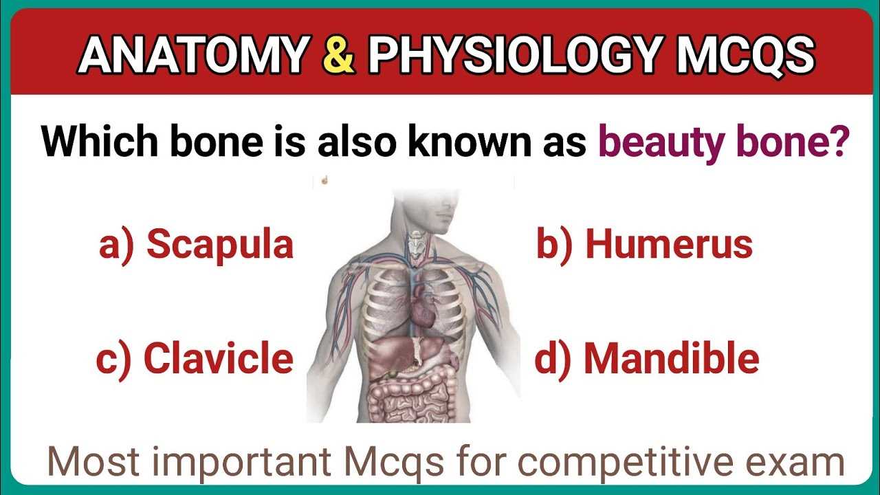 anatomy and physiology semester 1 final exam answers