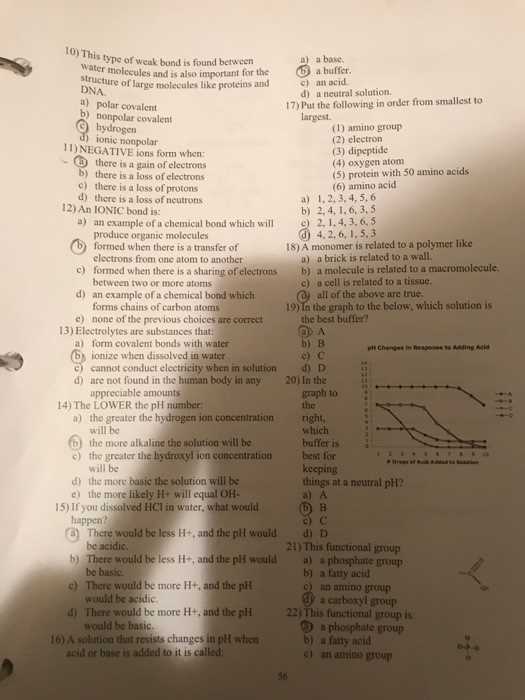 anatomy and physiology tests with answers