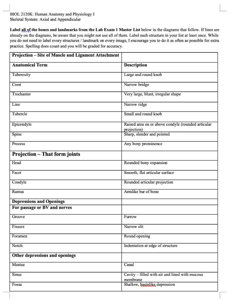 anatomy lab exam 1