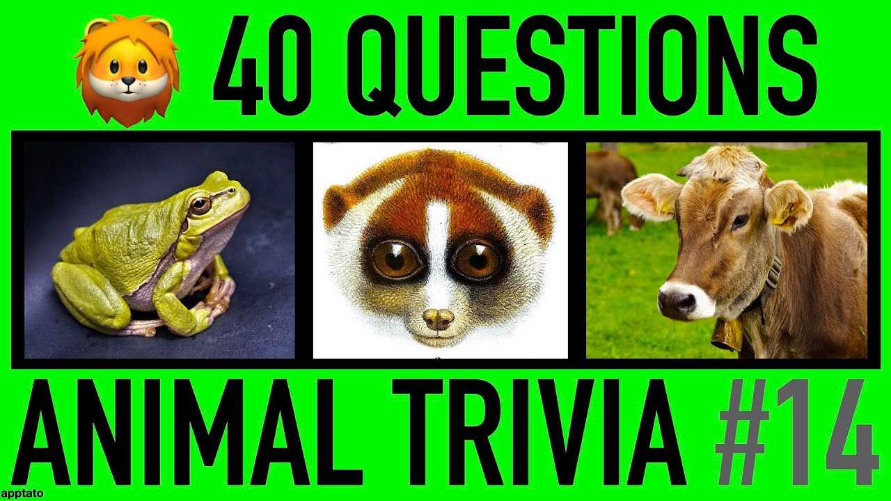 animal trivia questions with answers