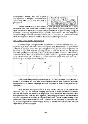 ap biology chapter 21 reading guide answers