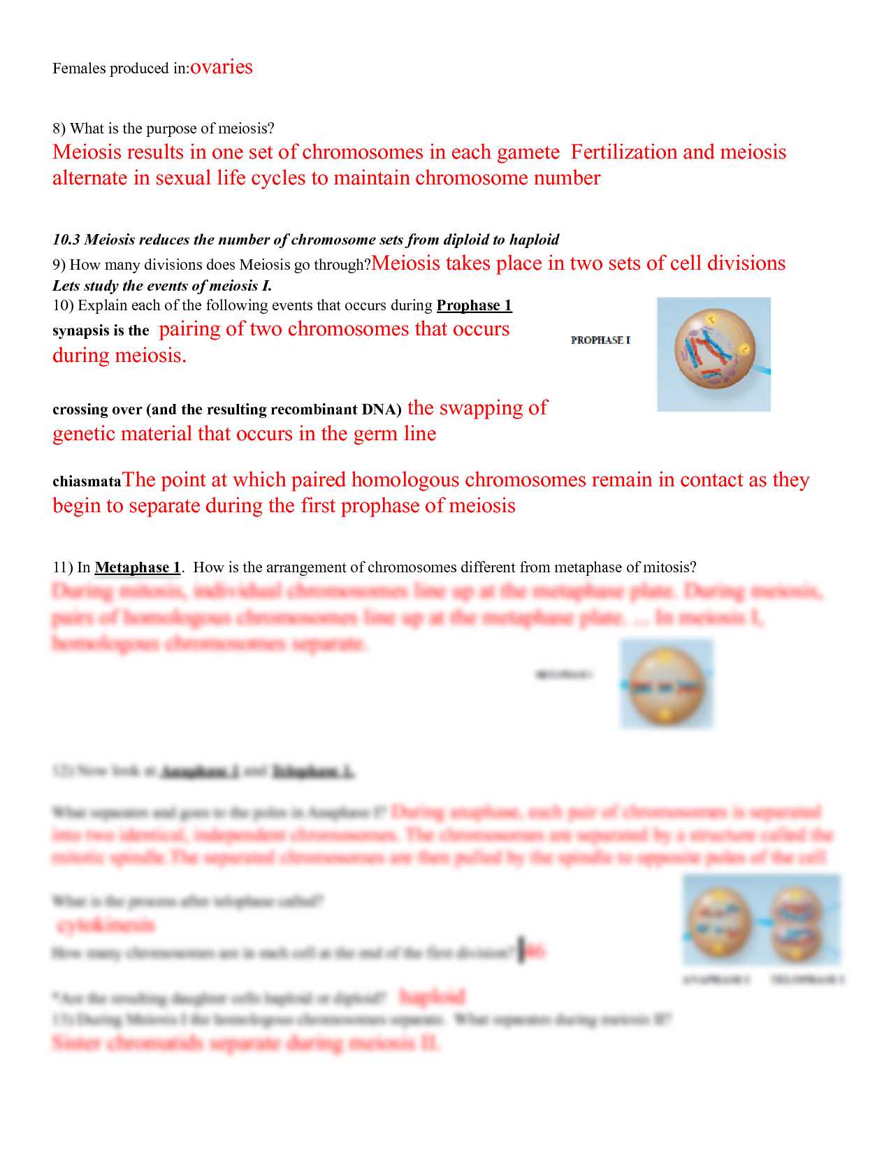 ap biology chapter 21 reading guide answers