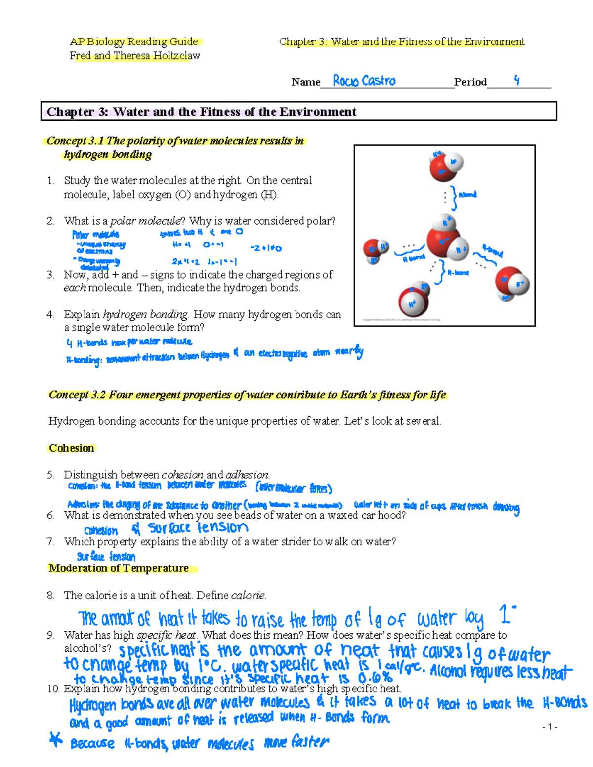 ap biology reading guide fred and theresa holtzclaw chapter 22 answers