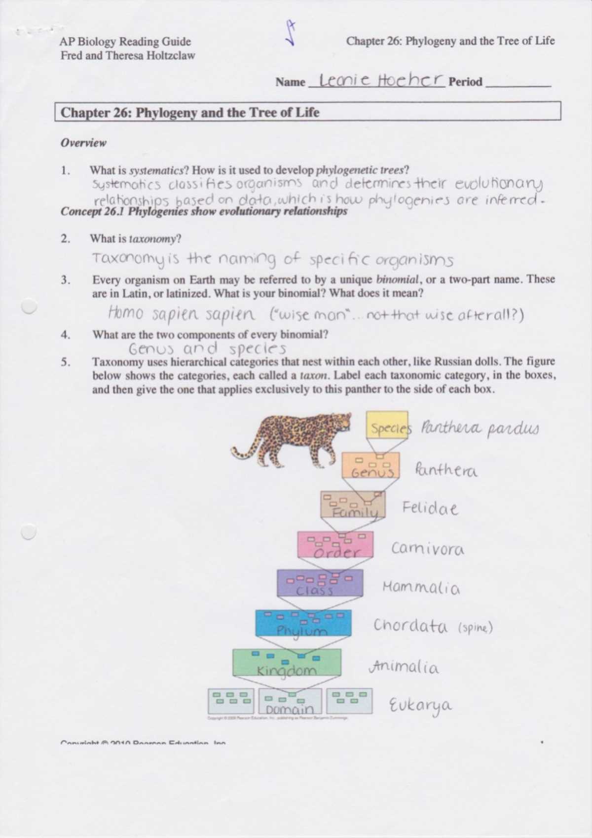 ap biology reading guide fred and theresa holtzclaw chapter 22 answers