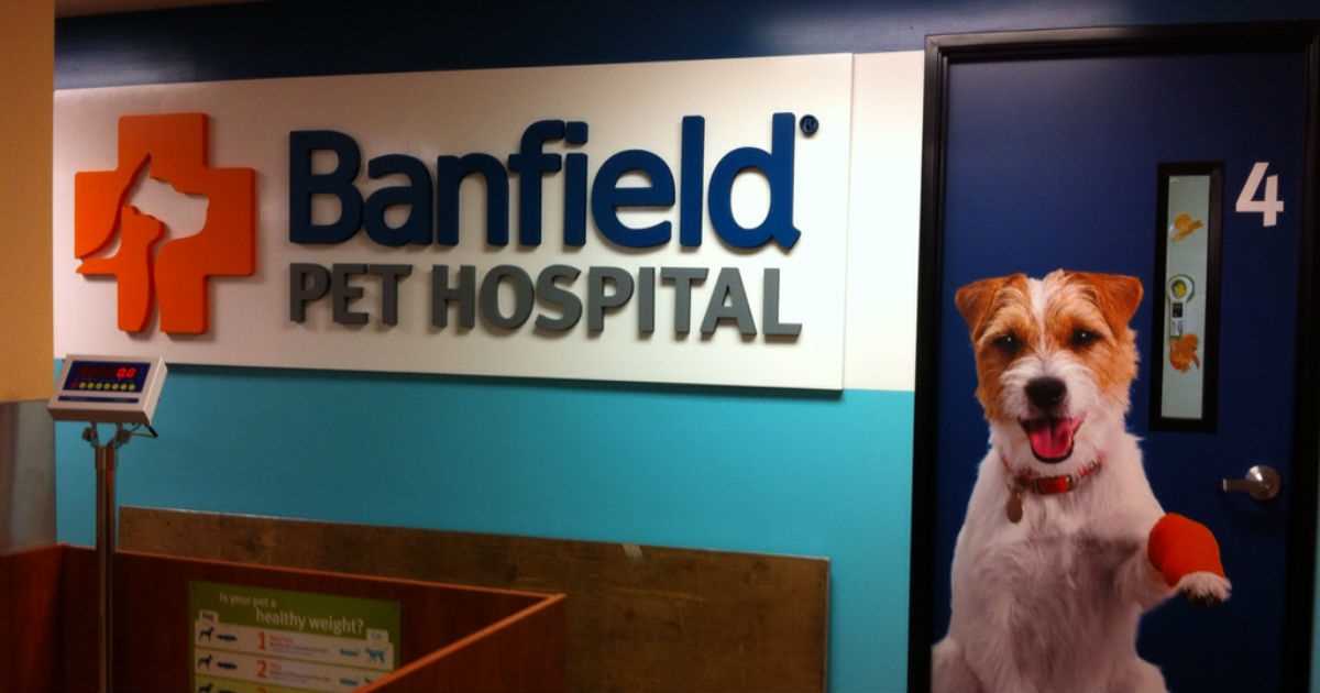 banfield exam coupon