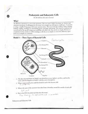 biology 1408 exam 1