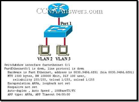 ccna 3 chapter 2 exam
