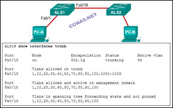 ccna chapter 6 exam answers