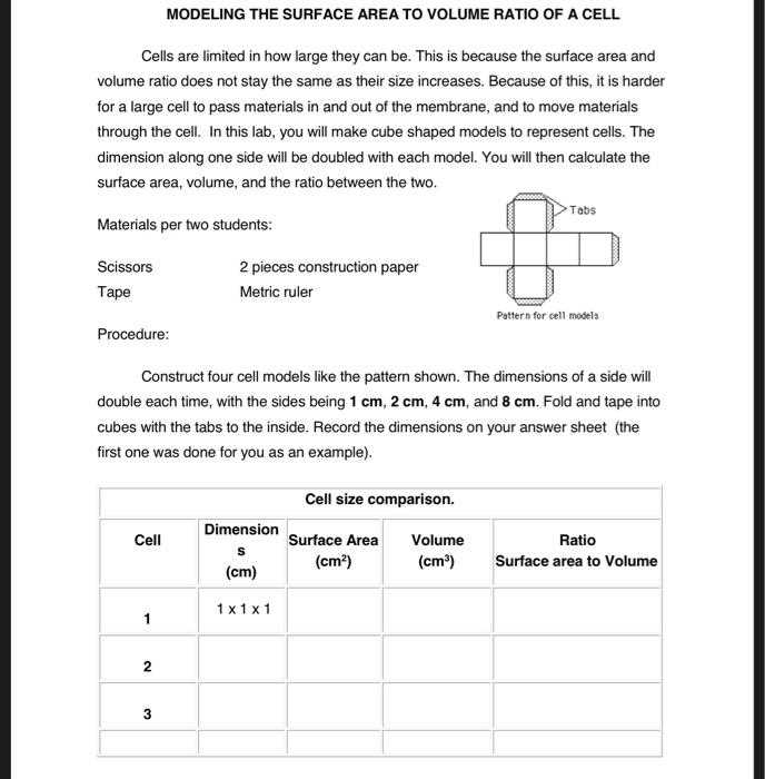 cell size worksheet answers