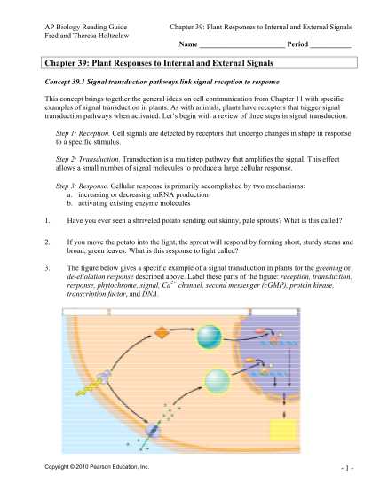 chapter 11 ap biology reading guide answers