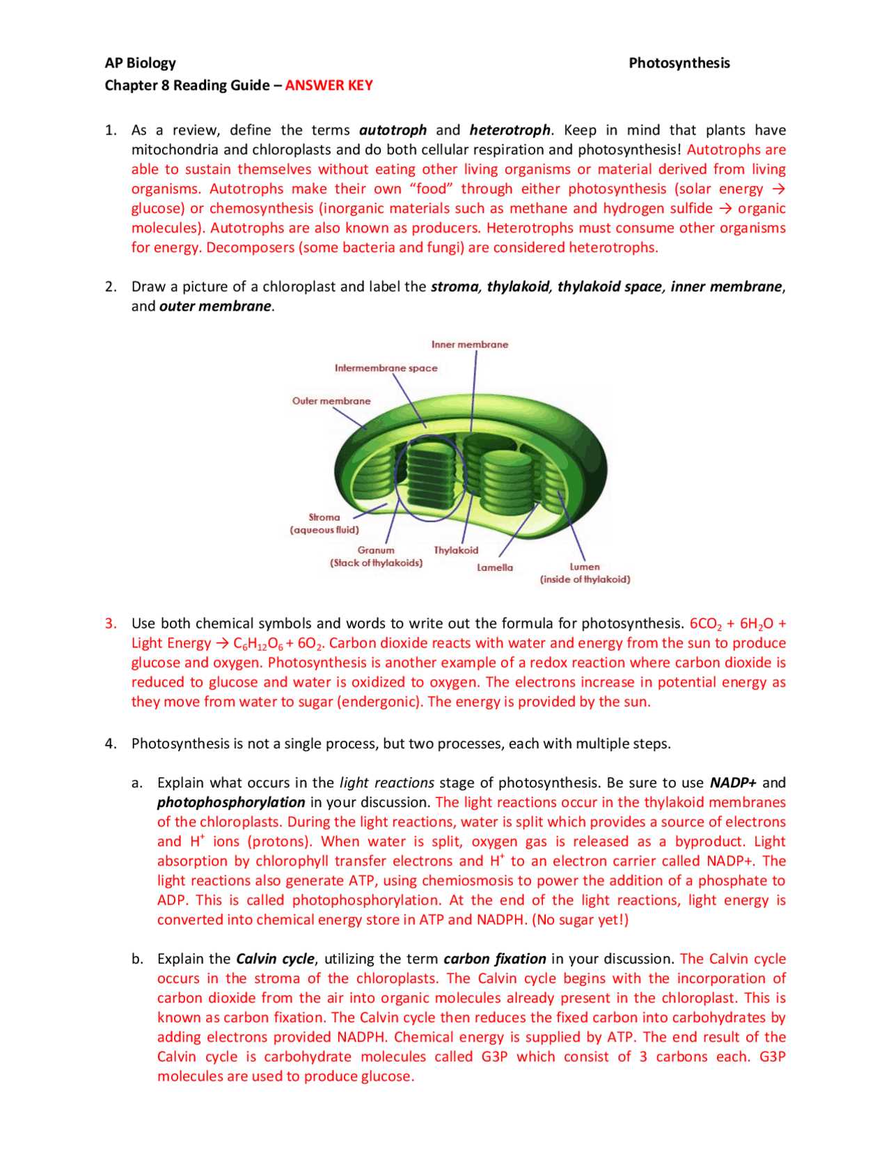 chapter 11 ap biology reading guide answers