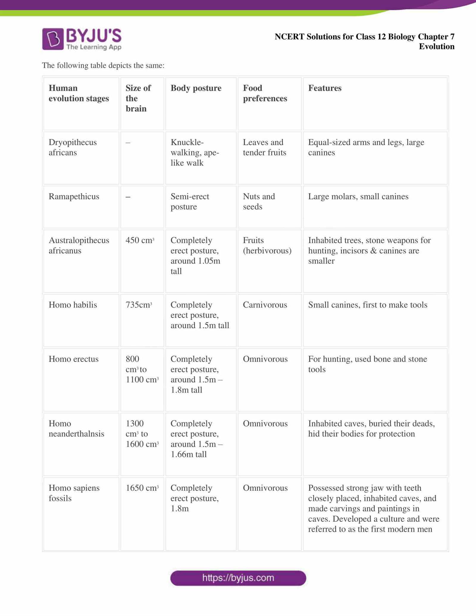 chapter 12 biology workbook answers