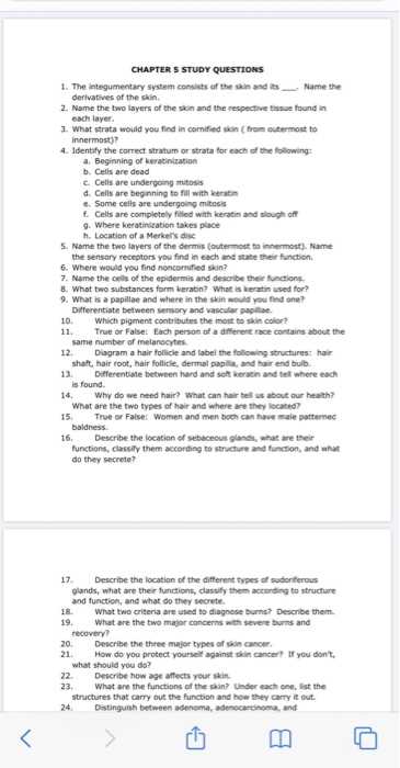 chapter 5 the integumentary system answers