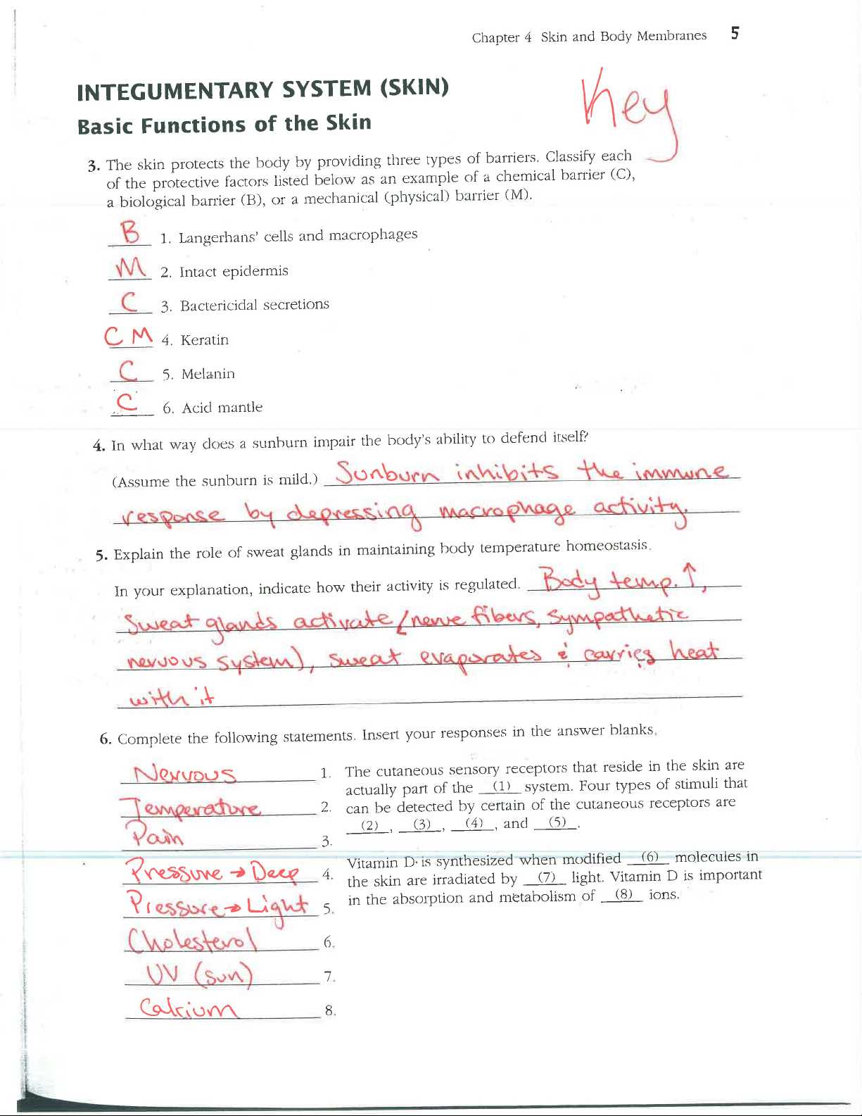 chapter 5 the integumentary system answers