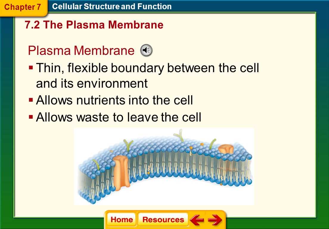 chapter 7 section 1 cell discovery and theory answer key