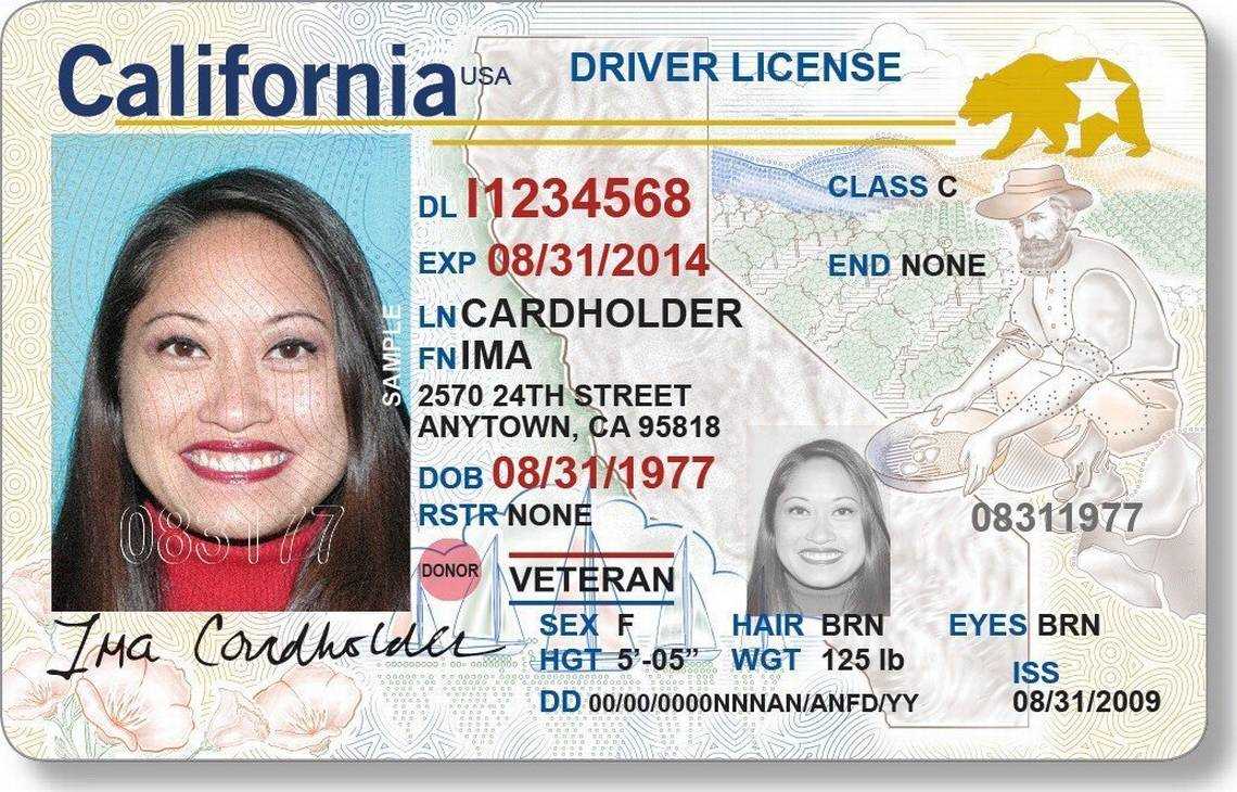 dmv licensing registration examiner