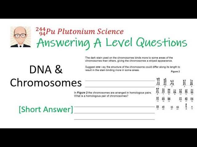 dna exam questions and answers