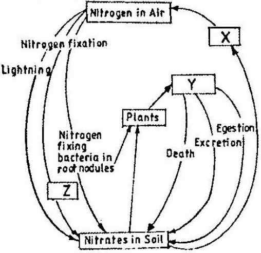 ecology exam answers