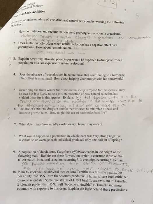 evolution exam review answers