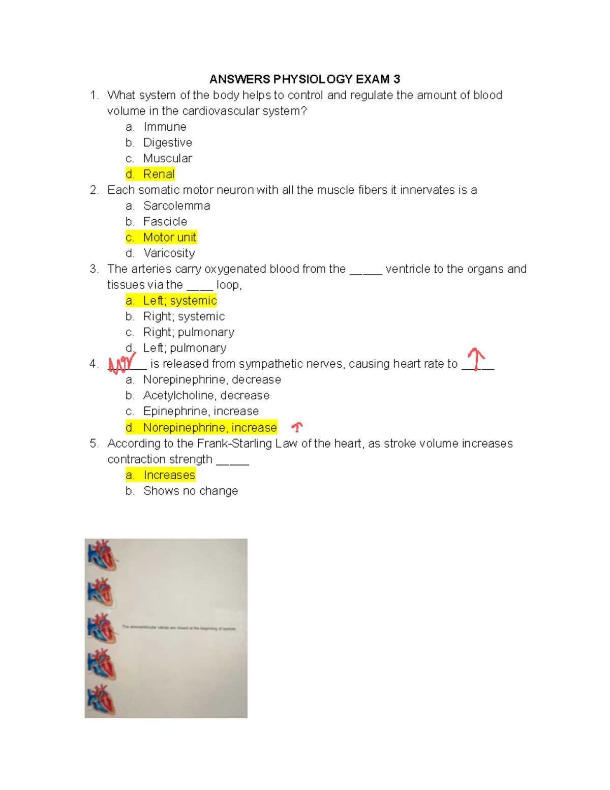 exercise physiology final exam questions answers