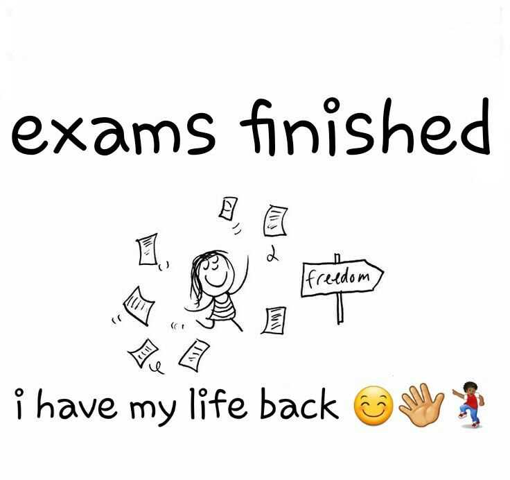 final exam funny pictures