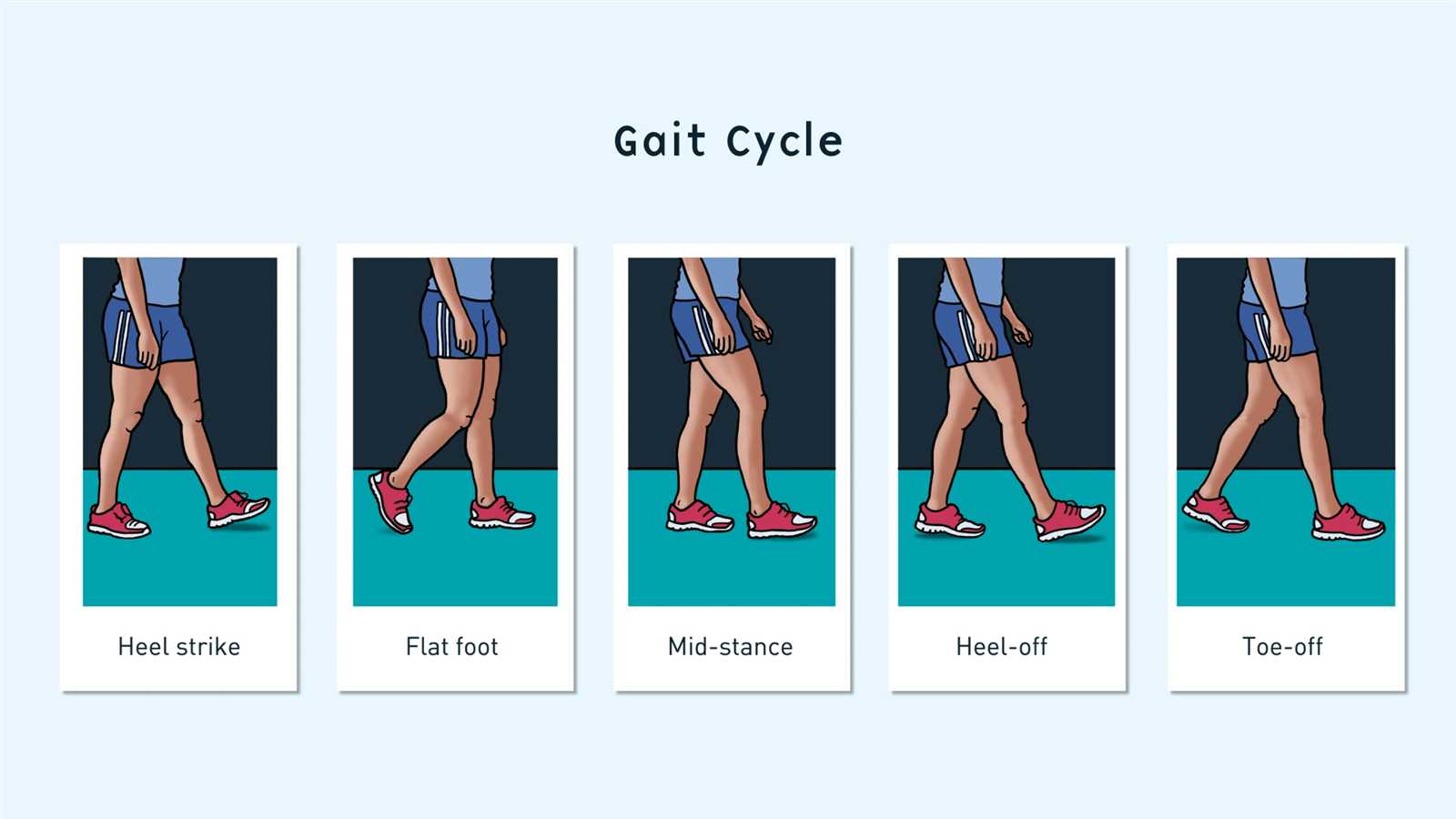 gait exam questions and answers