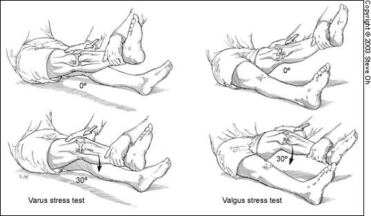 knee exam aafp