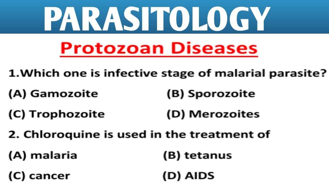 medical parasitology questions and answers