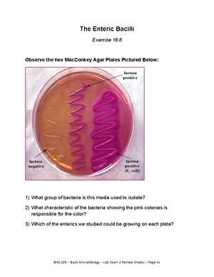 microbiology lab exam 1