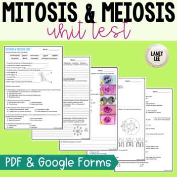 mitosis and meiosis test answers