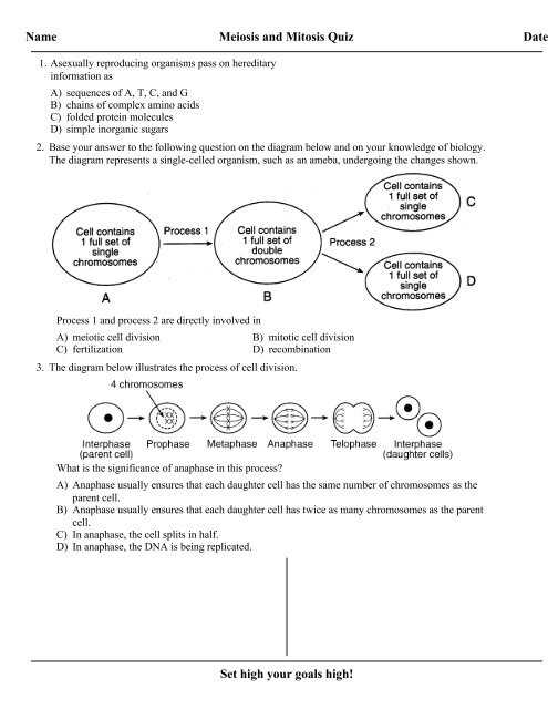 mitosis and meiosis test answers