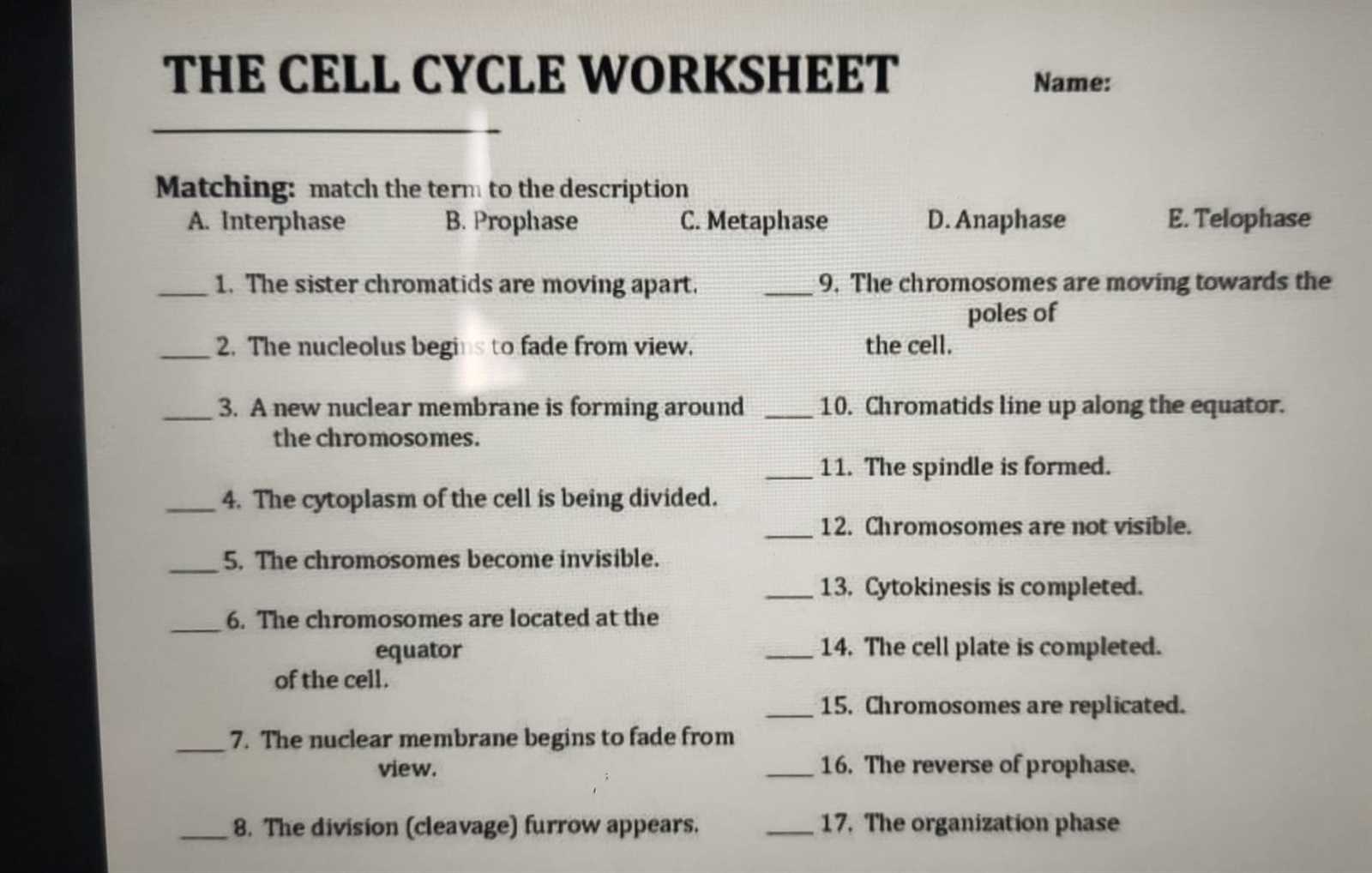 mitosis matching worksheet answers